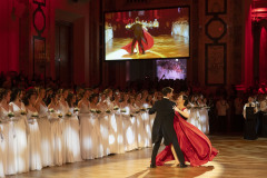 Offiziersball am 17 01 2025 in der Hofburg /Wien